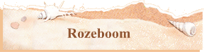 Rozeboom