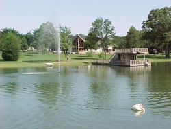 The Pond